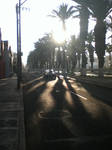 Alameda by descuidado