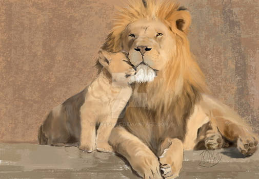 Lion and son