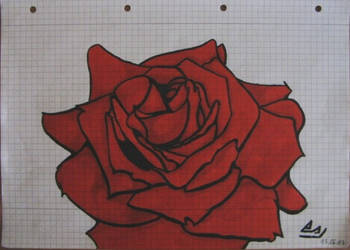 Rose-001