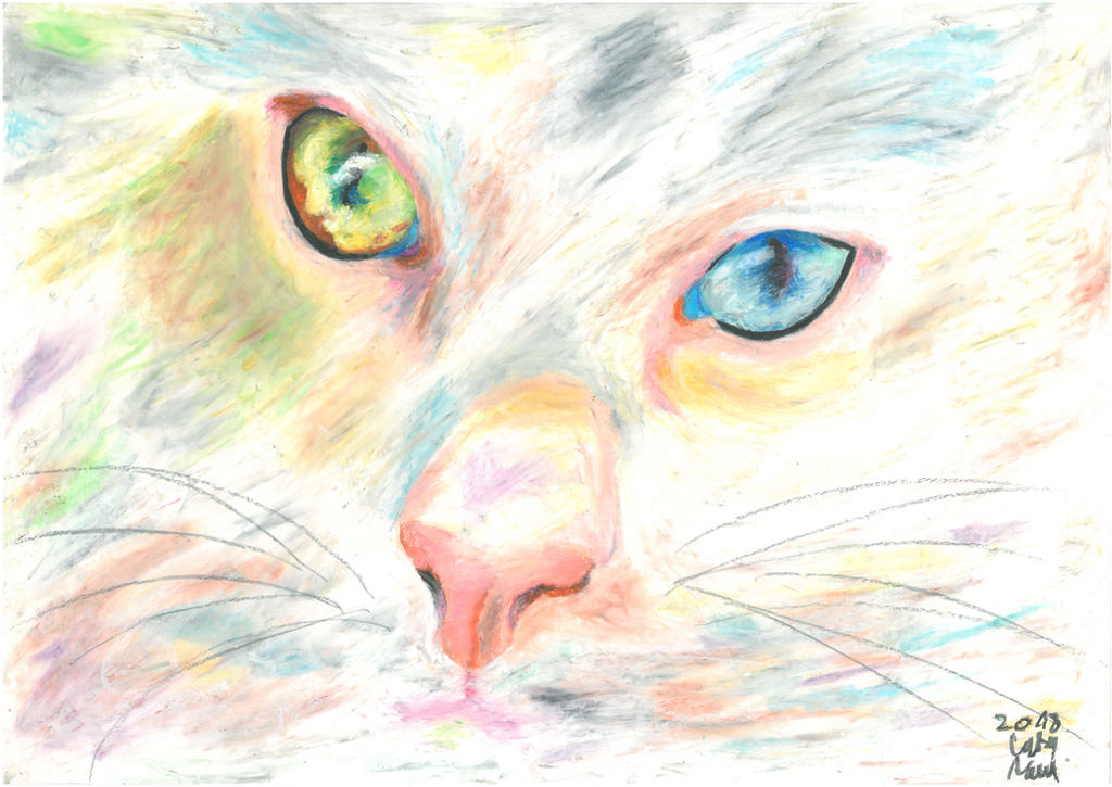 Colors of life by safija36 Colors of life by safija36