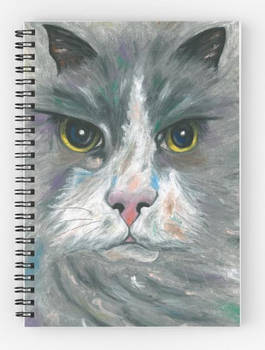 cat notebook