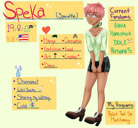 Meet the Artist - SpeKa