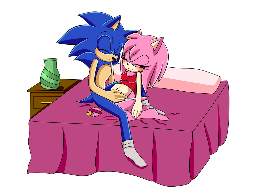 Commission SonicxAmy by GsSKY on DeviantArt 