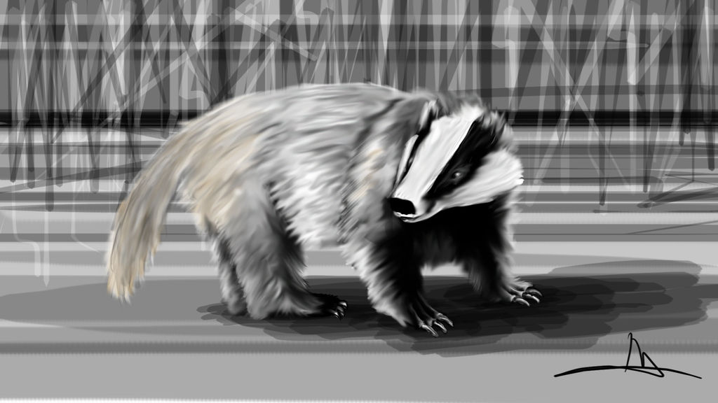 64 - Badger