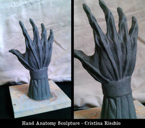 Hand Anatomy Sculpture