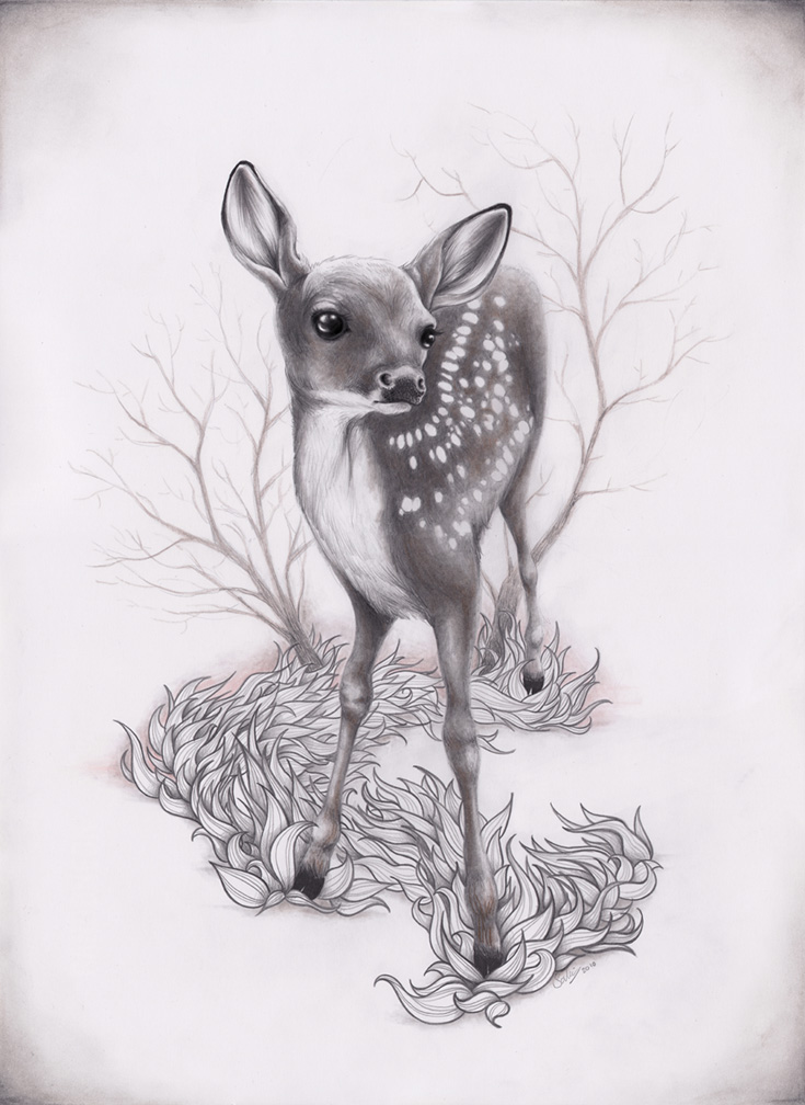 Little Deer