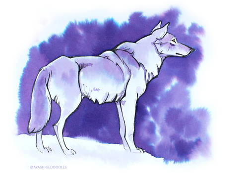 Ink Wolf - Purple