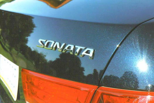 The Sonata