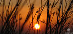 good morning - raigad by Bheeshoom