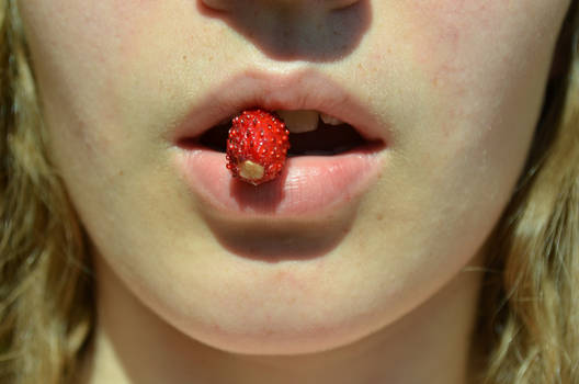 Sweet Wild strawberry