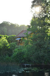 The house by the river