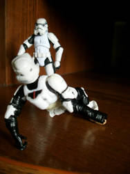 Stormtrooper vs. Scout trooper