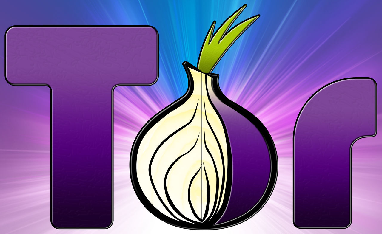 Tor browser logo mega вход flash for tor browser mega