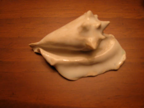 ceramic shell