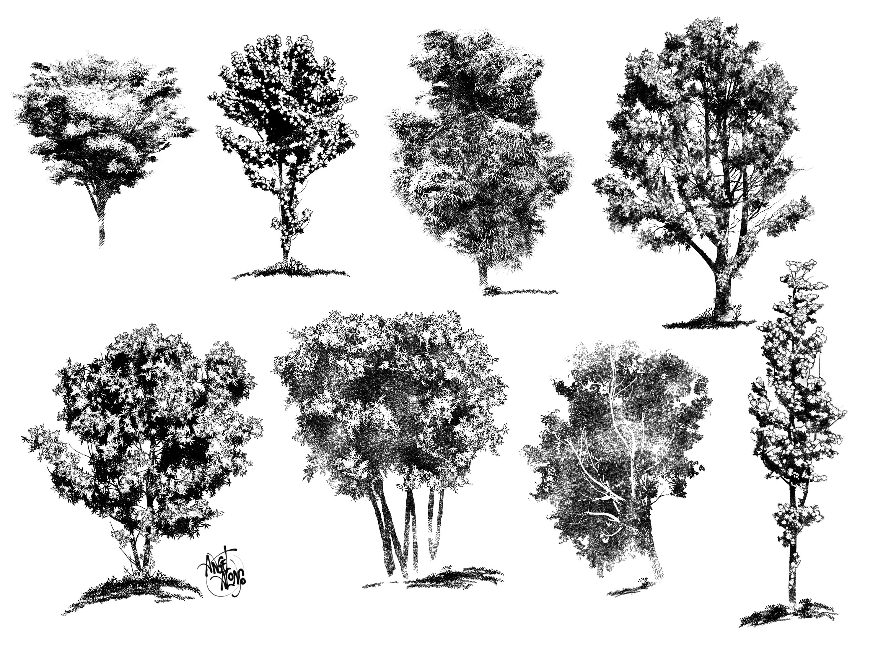 ink drawings of trees