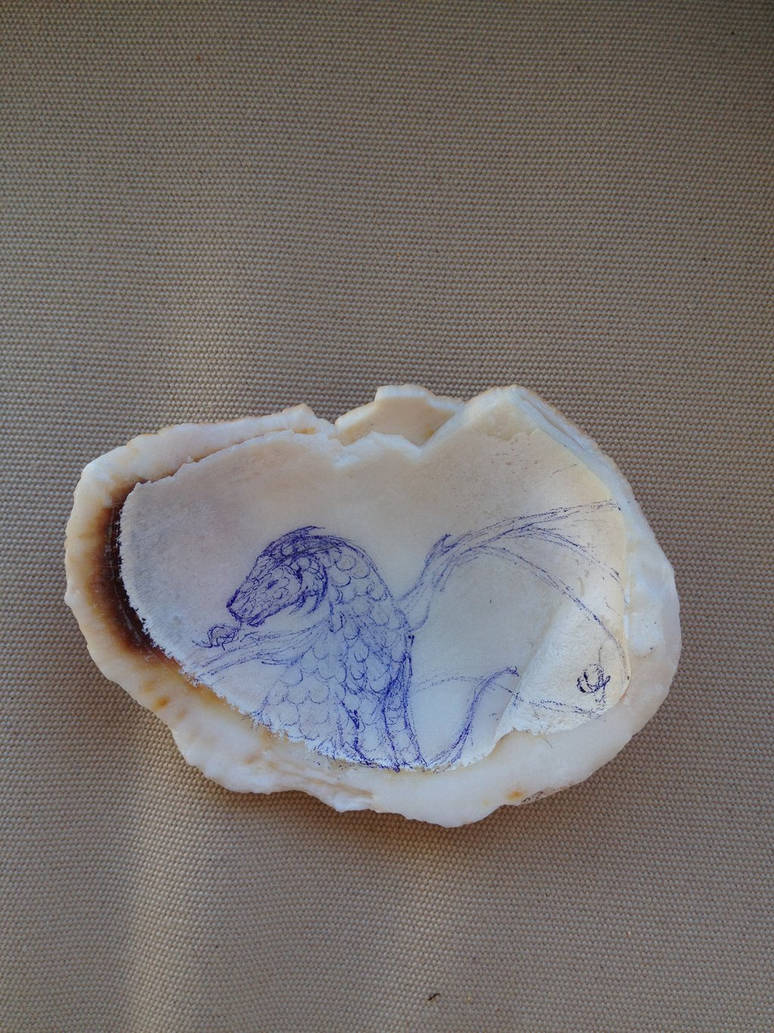 Shell dragon by Lorilanda on DeviantArt