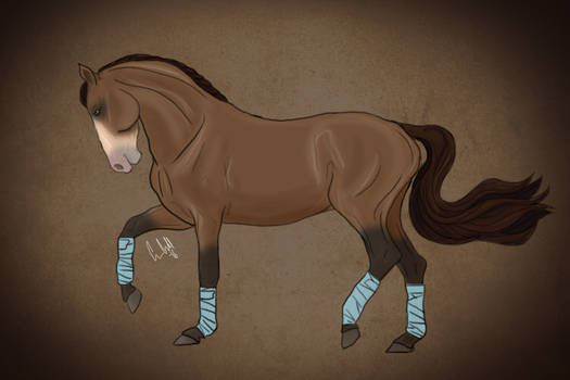 Dressage horse