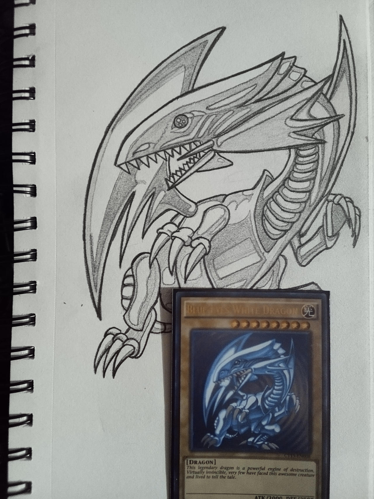 Blue Eyes White Dragon