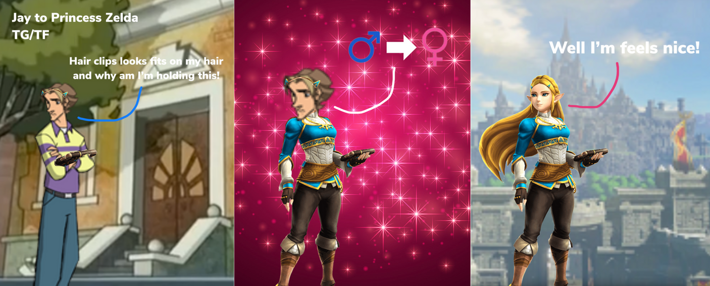 Jay to Princess Zelda TG/TF by MarkPipi on DeviantArt