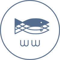 Logo Experiment 3