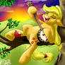 Sunset over Sweet Apple Acres