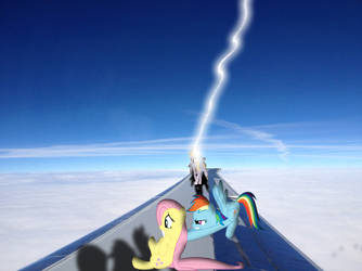 Ponies On a plane wing