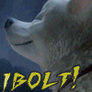 iBolt