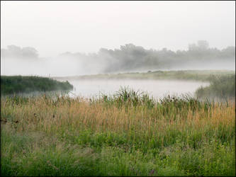 Foggy August Morning At Eagle Marsh #6