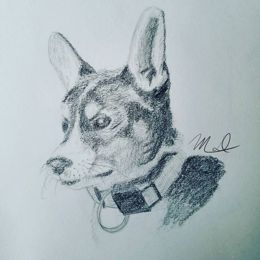 Lil' Enzo by eMDeeWubs on DeviantArt