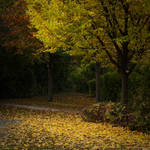 Autumn 3 by iPingu