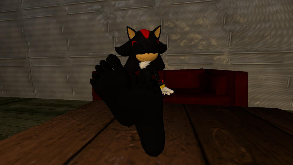 Shadow Relaxing by the fire 1 by hectorlongshot on DeviantArt