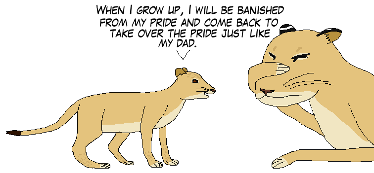 How long does it take for a lion to mature Https Encrypted Tbn0 Gstatic Com Images Q Tbn And9gcrkaivkq0hwn Pjei0kqtesgmj77rgyeaelwqthtm1maclzotwv Usqp Cau