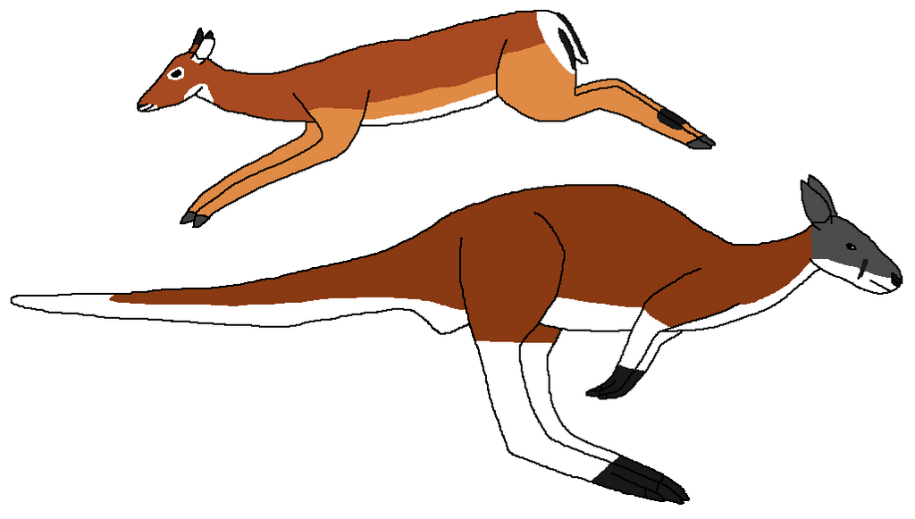 Deviantart Animal Jumping Jumping Escape Artists by WildandNatureFan on DeviantArt