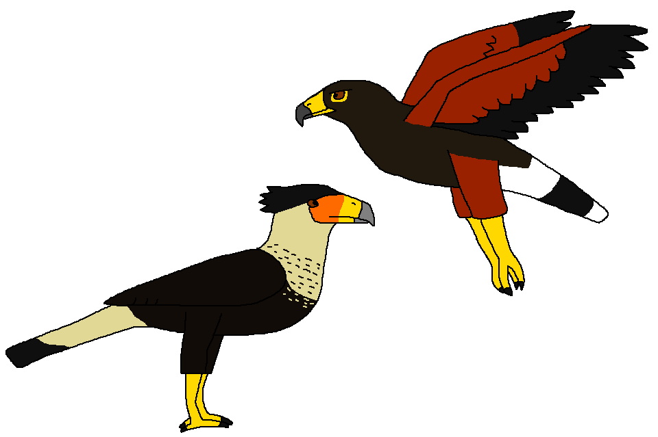 Two Raptors Cute Social Raptors by WildandNatureFan on DeviantArt
