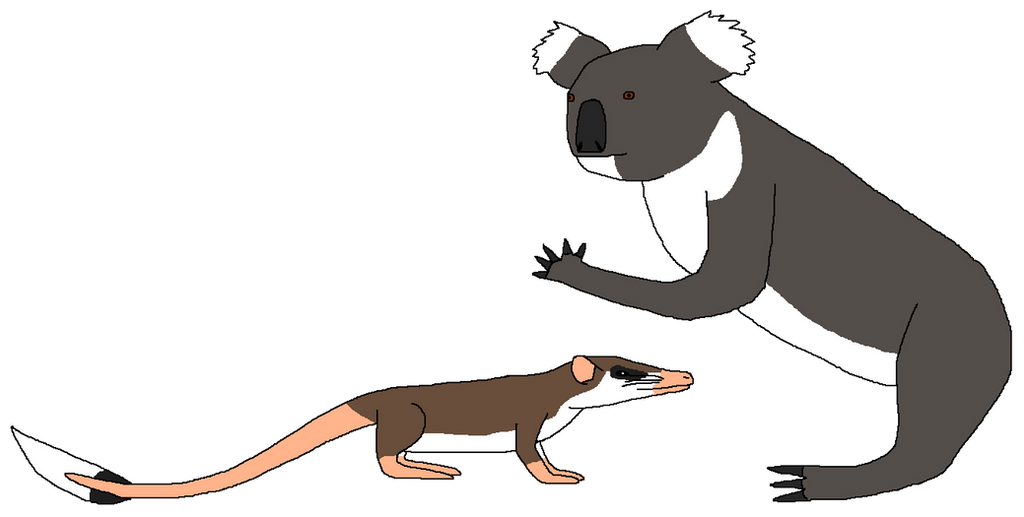 Very Picky Eaters by WildandNatureFan on DeviantArt