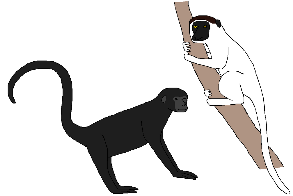 Primates Deviantart Base Primate Acrobats by WildandNatureFan on DeviantArt