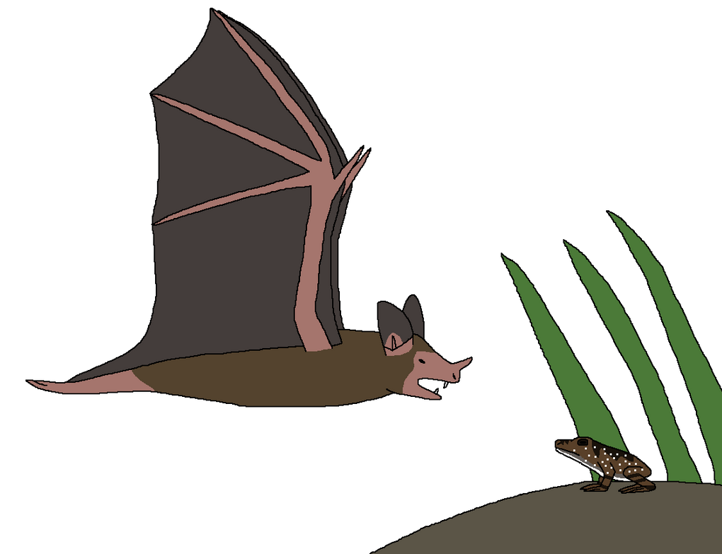Frog Hunt Insect Icon Frog Hunt by WildandNatureFan on DeviantArt
