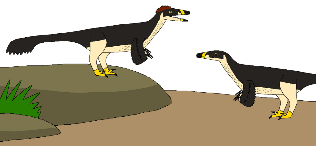 Raptors' Duet by WildandNatureFan on DeviantArt