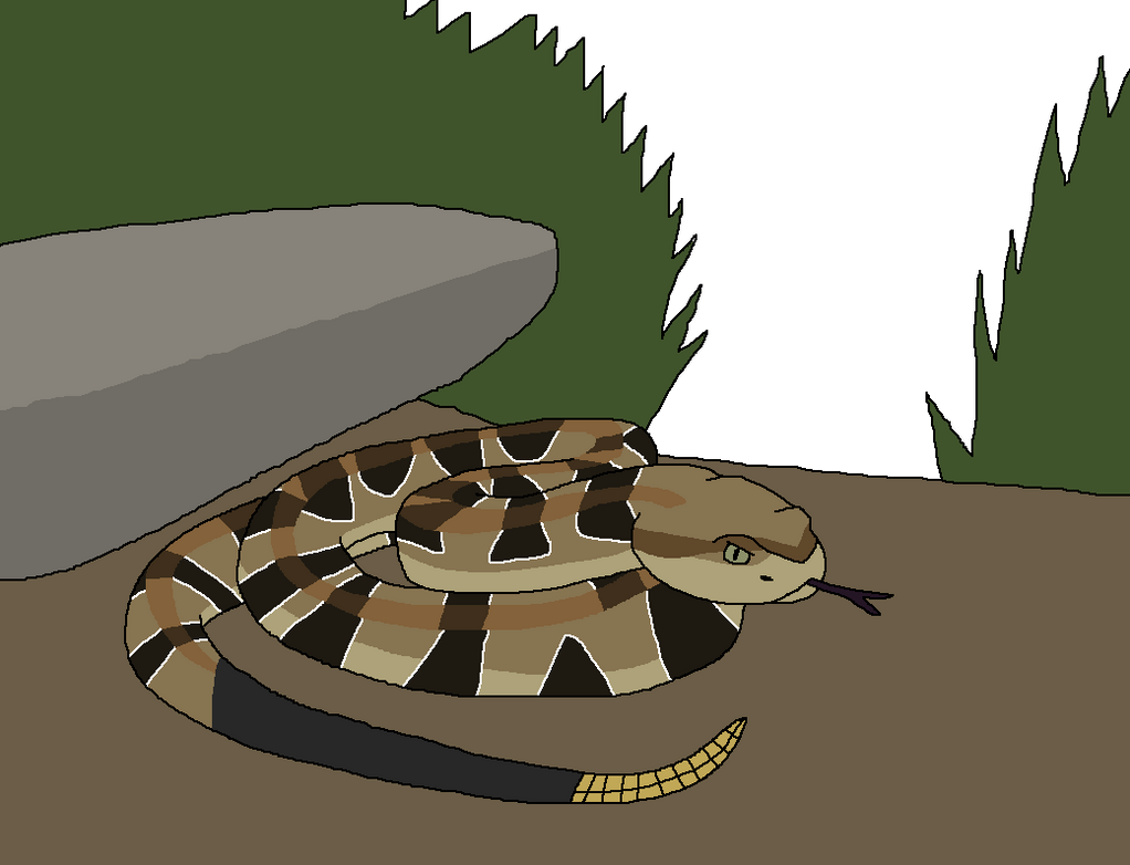 Timber Rattler Characters Rattler Forest by WildandNatureFan on DeviantArt