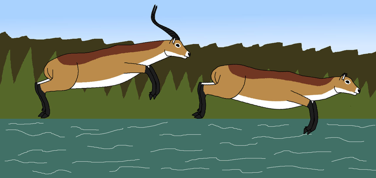 Deviantart Animal Jumping Jumping the Flood by WildandNatureFan on DeviantArt