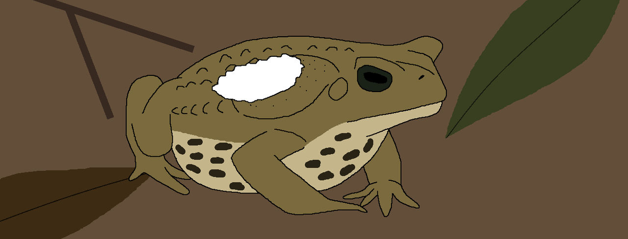 Keep Out, I Toad You So by WildandNatureFan on DeviantArt