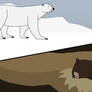 A Bear's Guide to Winter