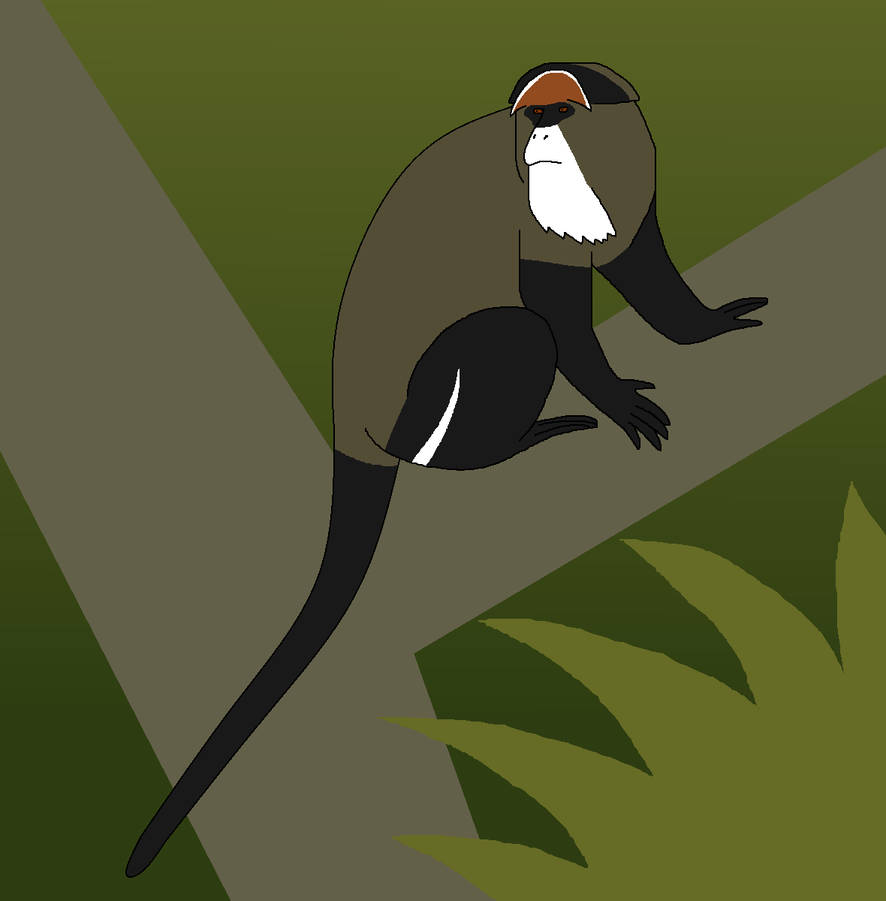 Primates Deviantart Base Another Bearded Primate by WildandNatureFan on DeviantArt