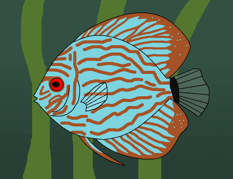 Round Fish by WildandNatureFan on DeviantArt