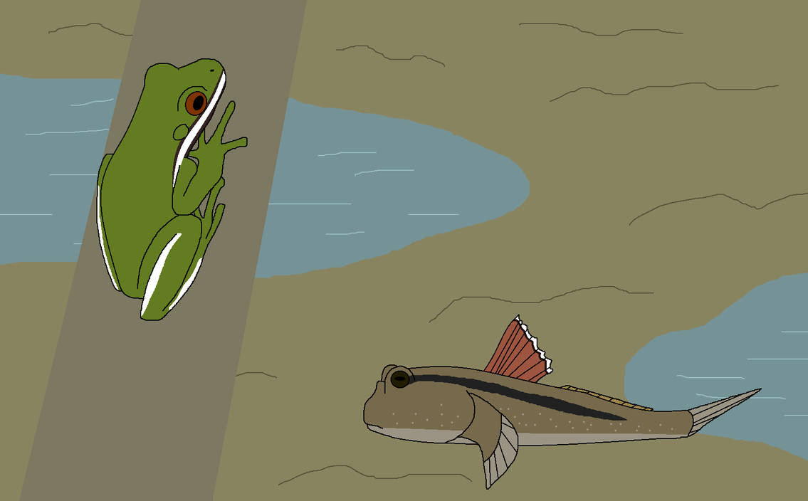 Define Amphibious by WildandNatureFan on DeviantArt