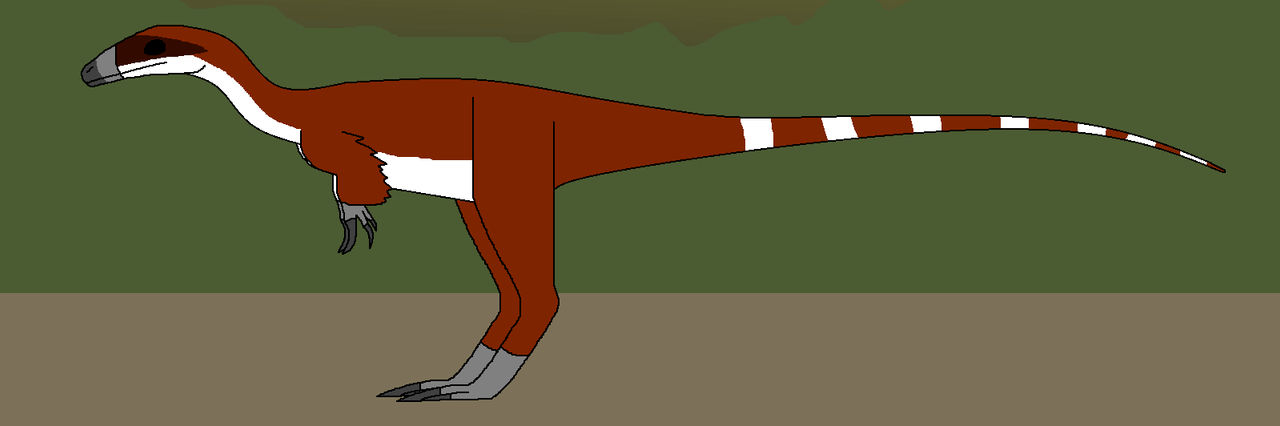 Little Red Compy by WildandNatureFan on DeviantArt