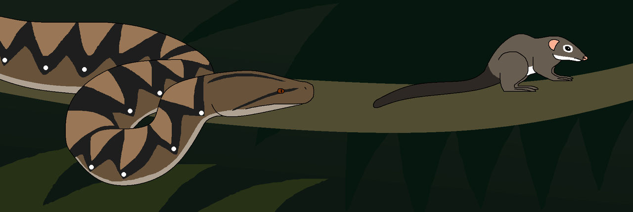 Look Out for the Python by WildandNatureFan on DeviantArt