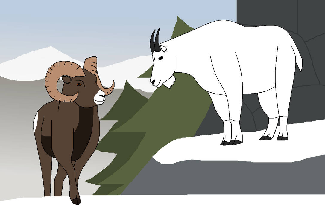 Caprid Mountain by WildandNatureFan on DeviantArt