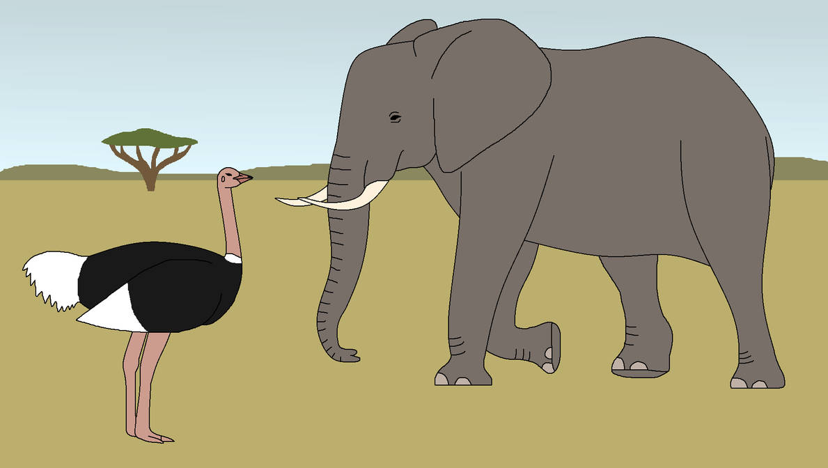 Gigantic in Numbers by WildandNatureFan on DeviantArt