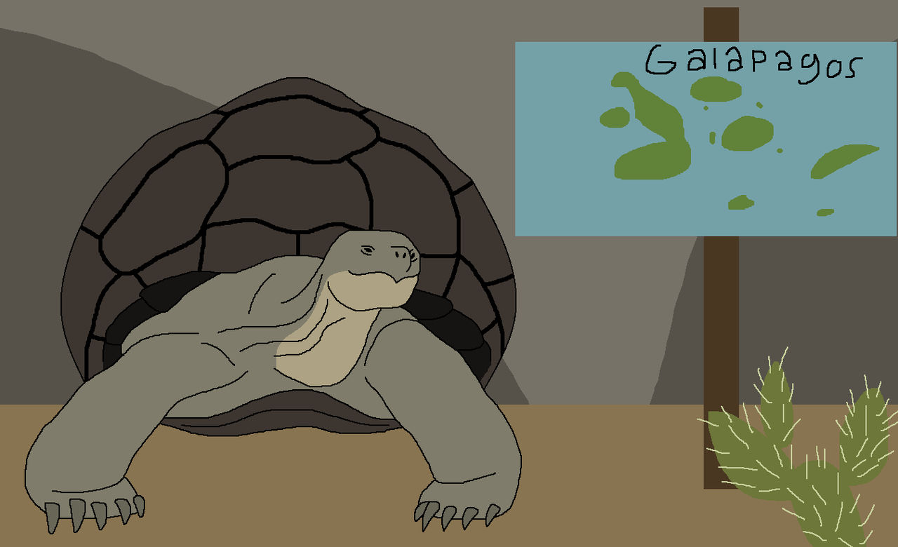 Island Naming by WildandNatureFan on DeviantArt